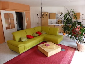 TV, fireplace, DVD player, books