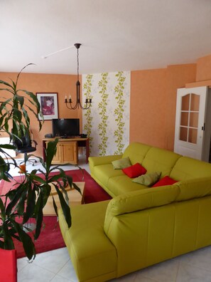 TV, fireplace, DVD player, books