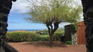 Un arbre qui pousse dans une arche en pierre, avec vue sur la mer et les collines lointaines.