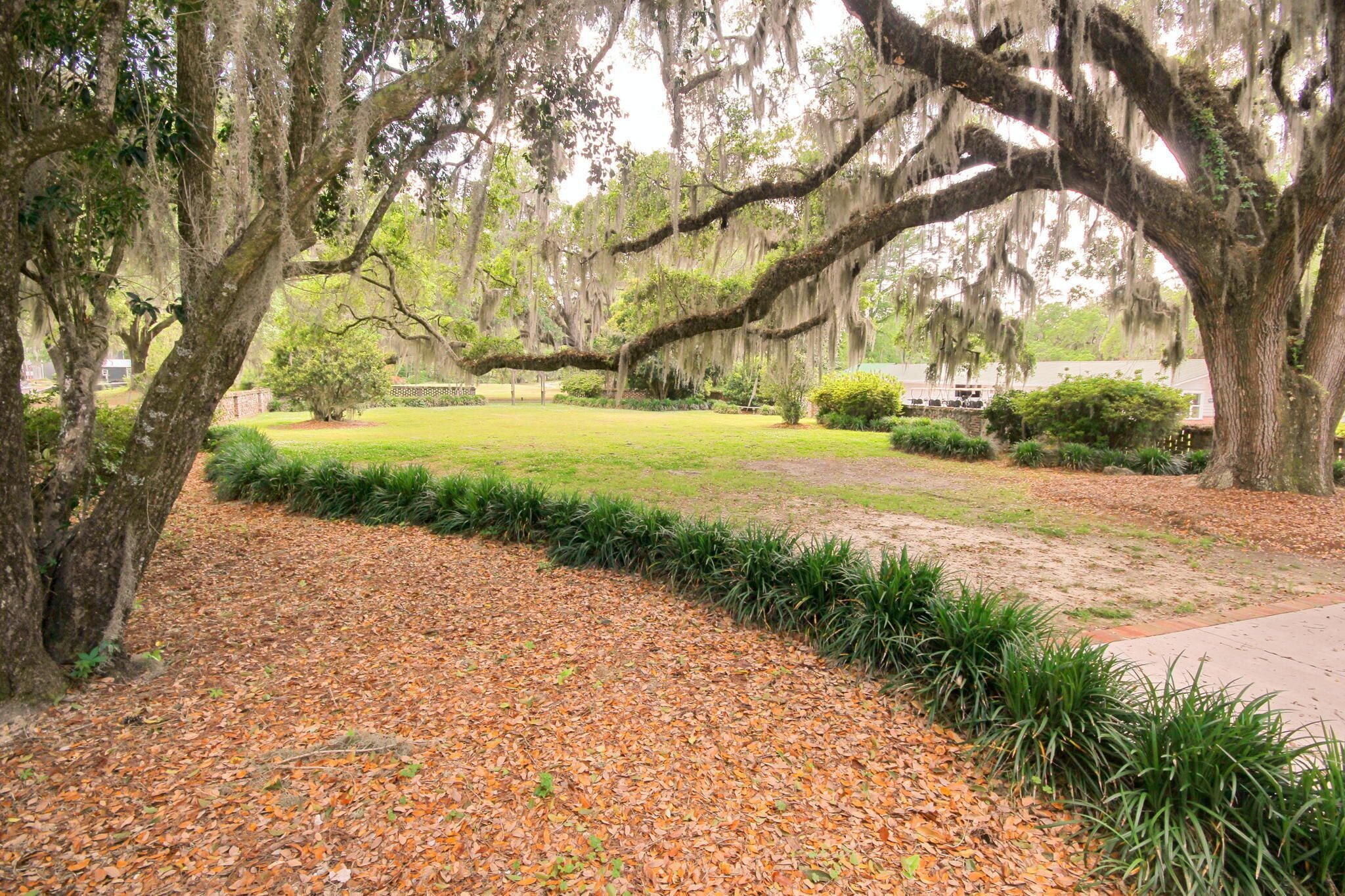 Un parco con alberi imponenti, una zona erbosa e un sentiero lastricato.