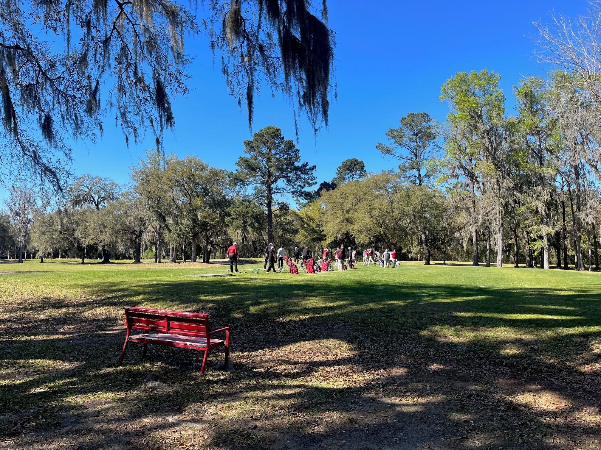 A park with a red bench, trees, and people walking.