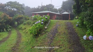 A red building with a green roof, surrounded by lush greenery and hydrangea bushes. - Bosque del Río Lodging (Monteverde)