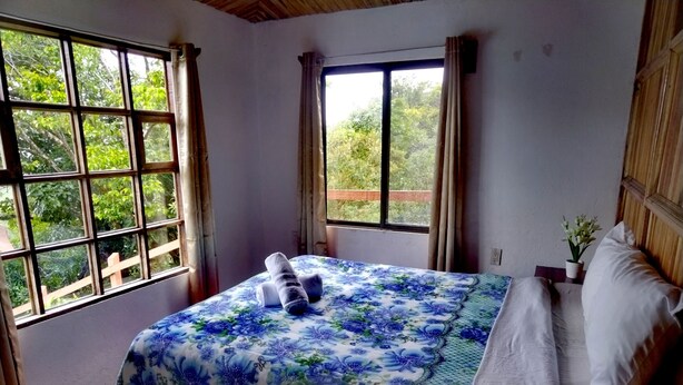 A bedroom with a bed, two windows, and a view of greenery outside. - Bosque del Río Lodging (Monteverde)