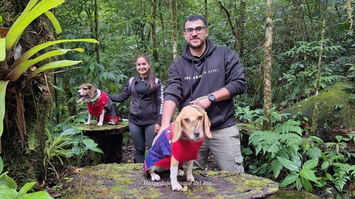 Bosque del Río Lodging
