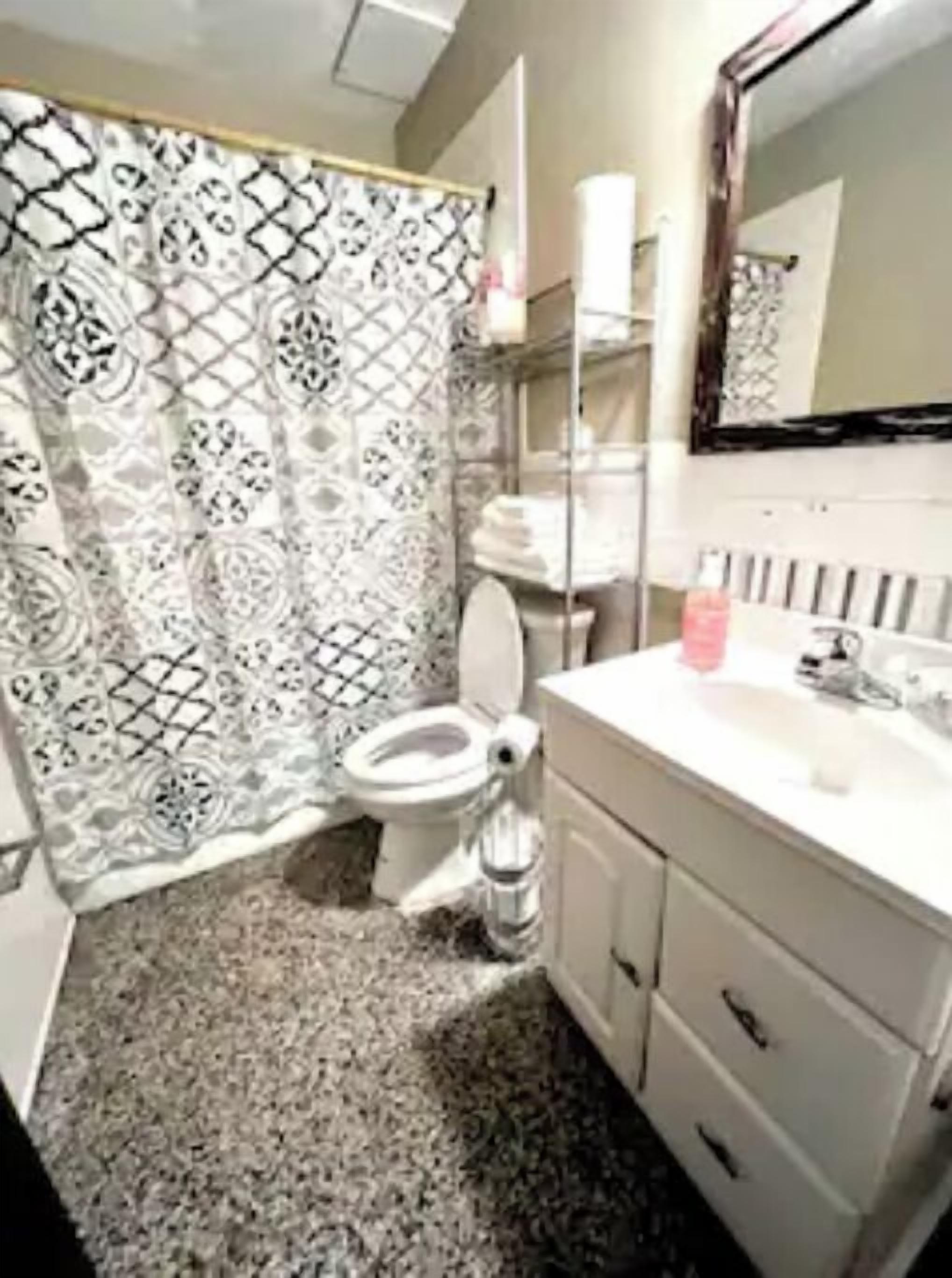 Secadora de cabello, toallas, jabón, shampoo 