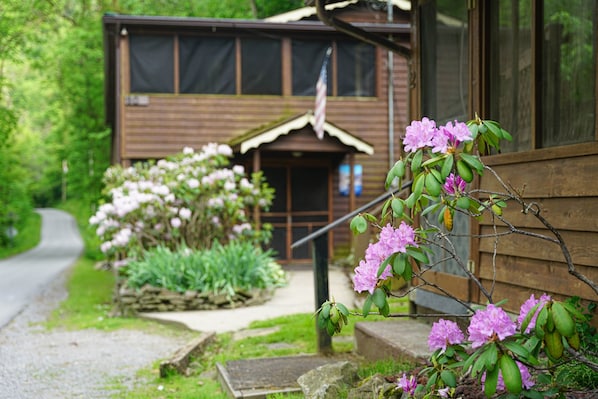 Exterior detail - Secluded Lodge w/ grill + Free Coffee and Tea (Elkins)
