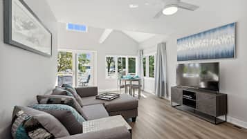 Smart TV, fireplace, books