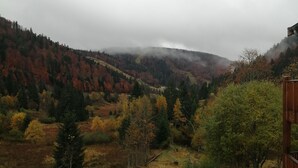 A view of a mountainous landscape with autumn-colored trees and a cloudy sky. - Studio in the heart of nature, 800 m from La bresse-hohneck ski resort (La Bresse)