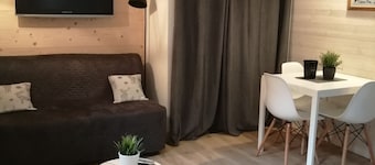 Studio in the heart of nature, 800 m from La bresse-hohneck ski resort