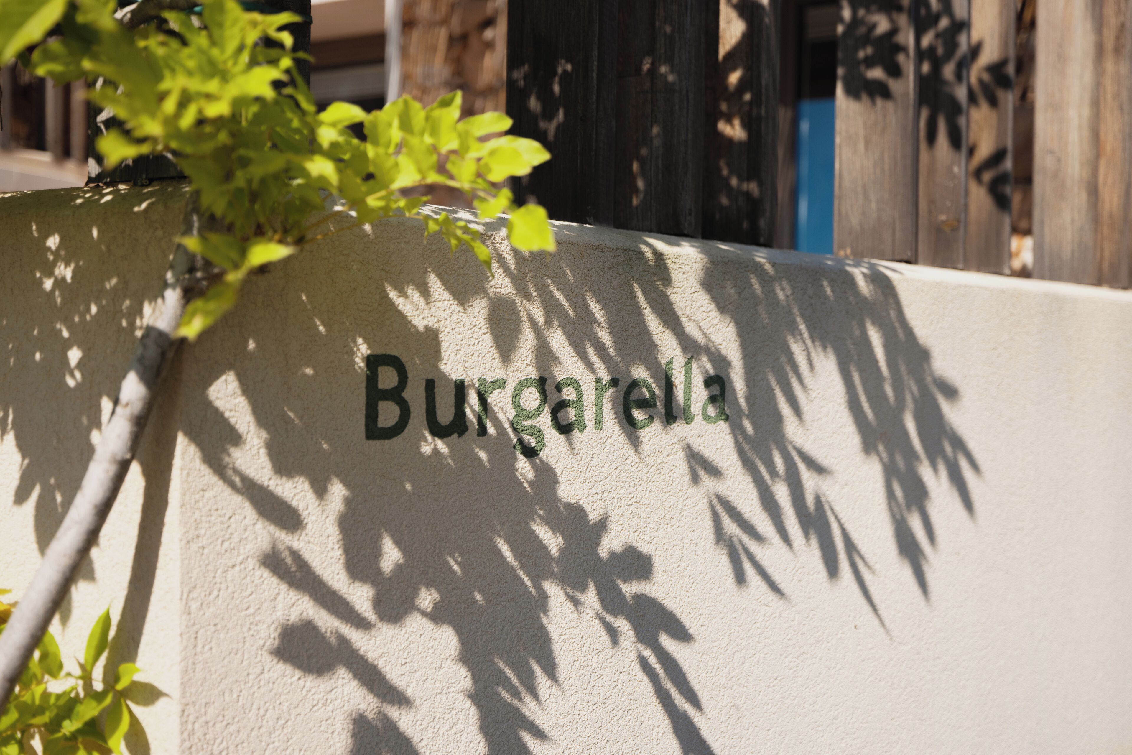Una pared con el nombre "Burgarella" y sombras de hojas y ramas.