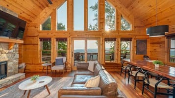 TV, fireplace, video games, books