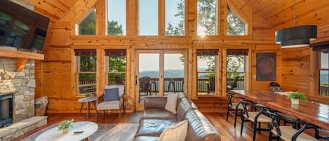 TV, fireplace, video games, books