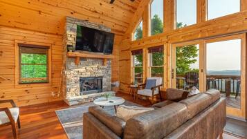 Televisión, chimenea, videojuegos, libros