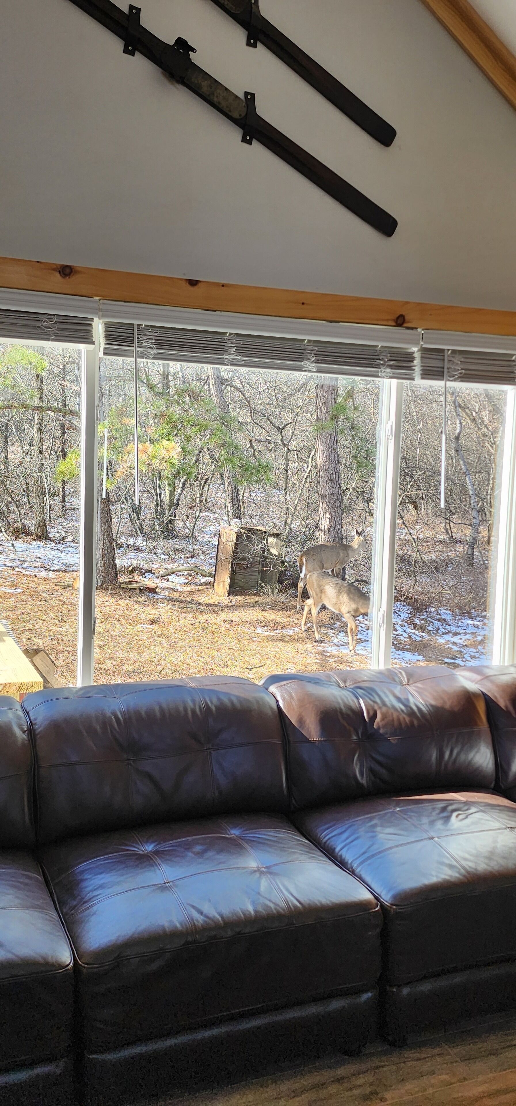 Ski, Hottub, Firepit, Fireplace, Private Backyard & Arcade Room - 펜실베이니아