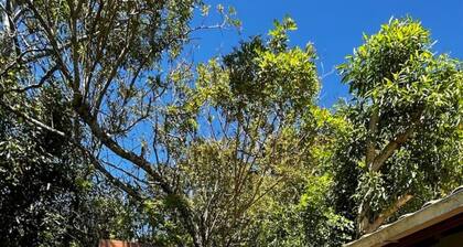 Beach house in Rosa - Ibiraquera Lagoon view