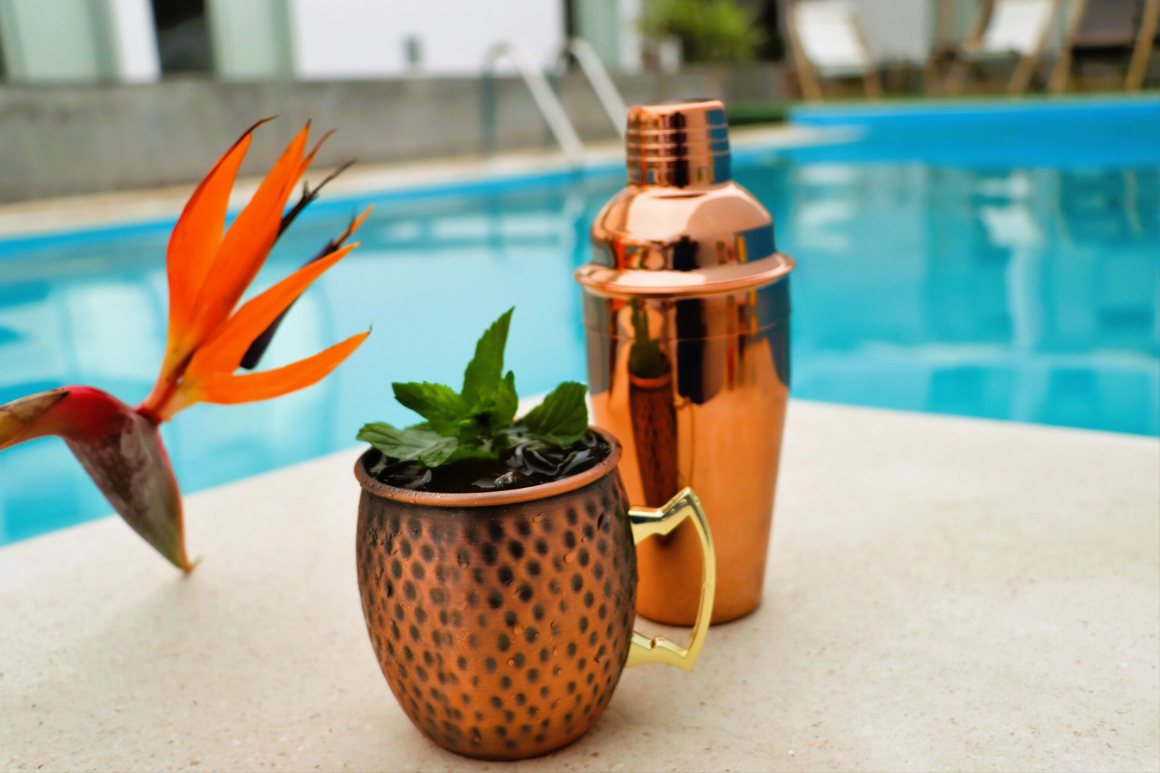 A copper cocktail shaker and a decorative plant by a poolside.