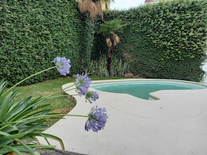 Garden - Hotel Del Virrey (Salta)