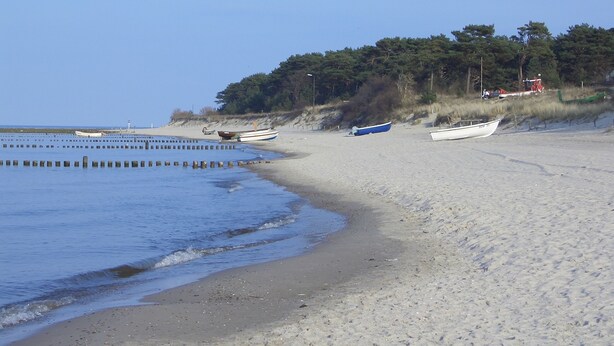 Une plage avec plusieurs bateaux, une rive sablonneuse et une zone boisée en arrière-plan.