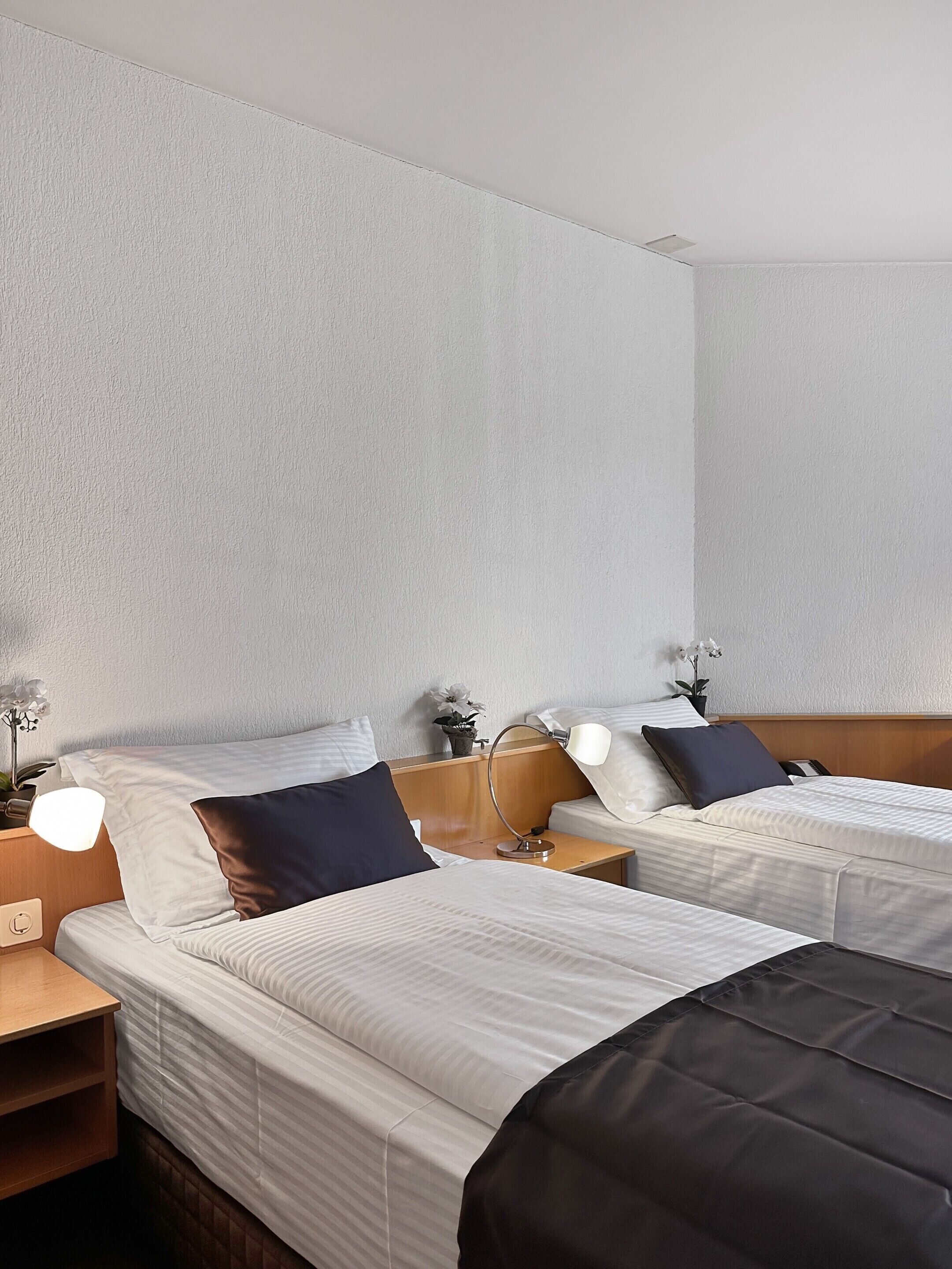 Foto - Centra Hotel Zurich