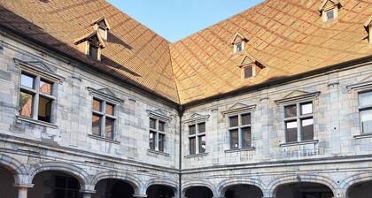 Cozy N'est house on historic courtyard-garden, close to station and city center