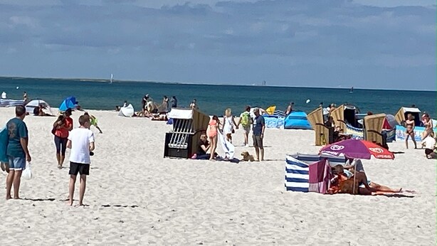 A beach with people, umbrellas, and beach chairs. - Right next to the nature reserve! Great for dogs and nature lovers (Prerow)