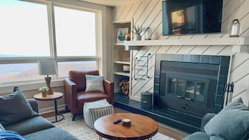 Smart TV, fireplace, books