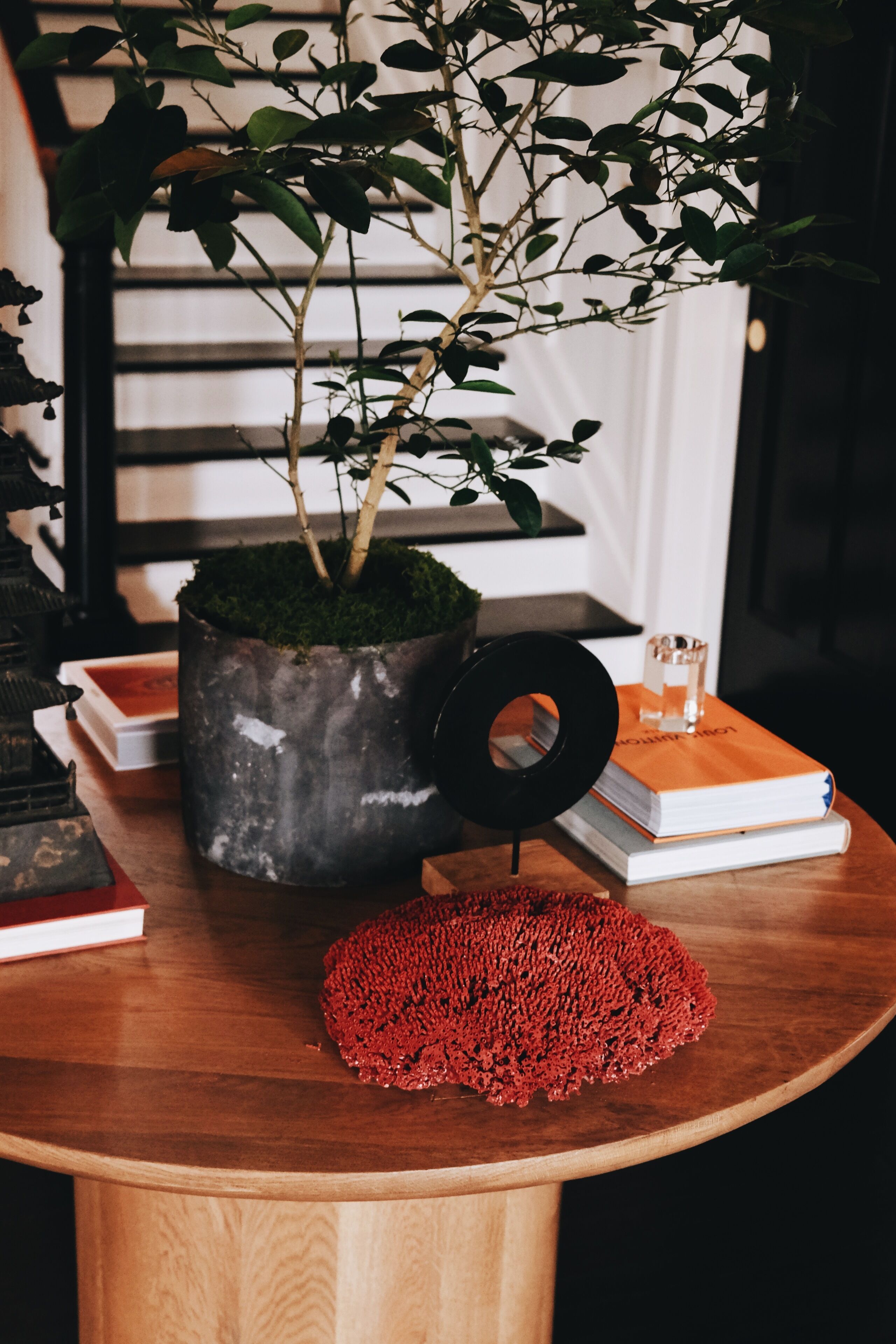Una mesa de madera con una planta en maceta, libros y un objeto rojo con textura.