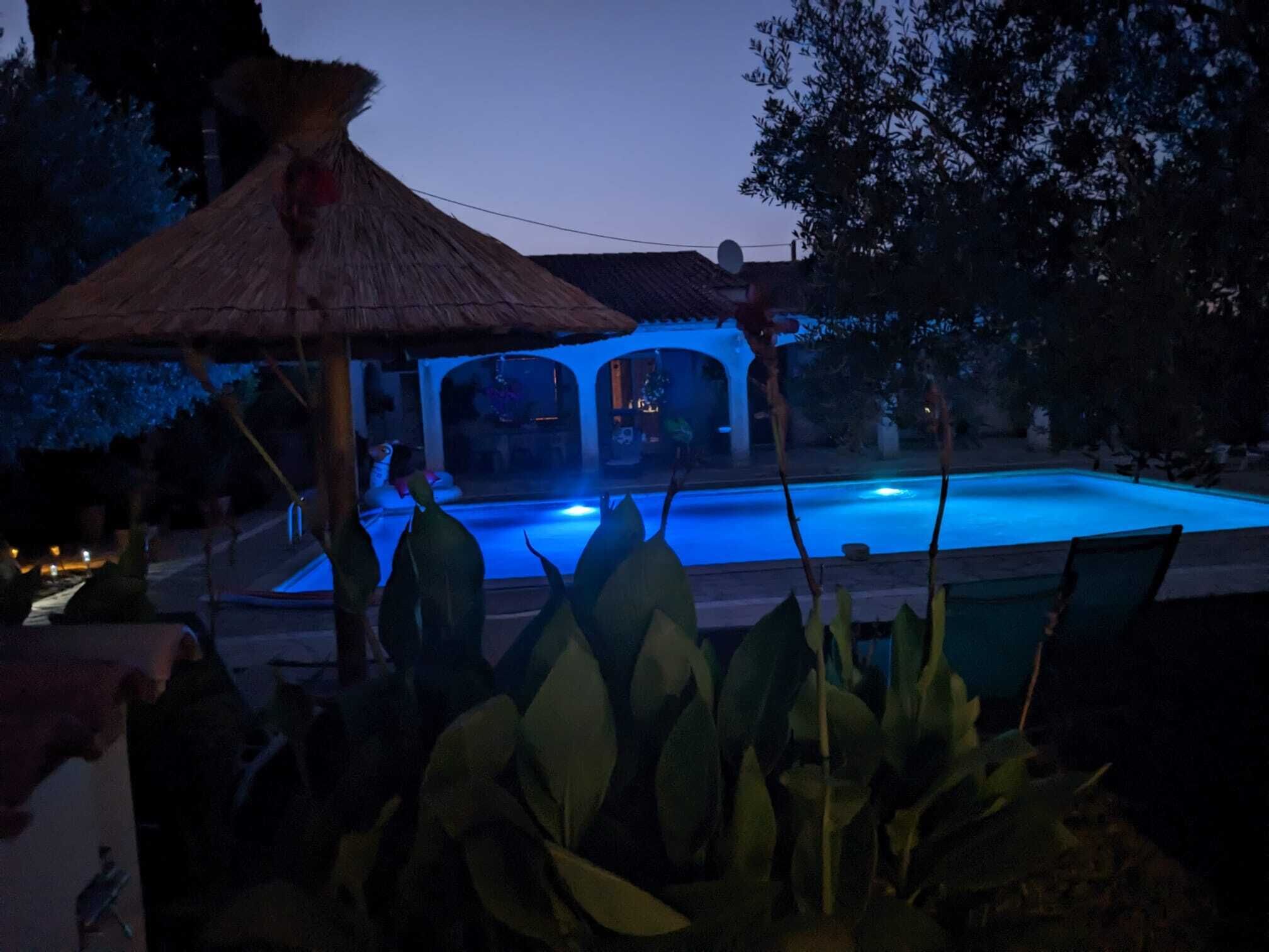 A swimming pool with a thatched roof structure in the background.