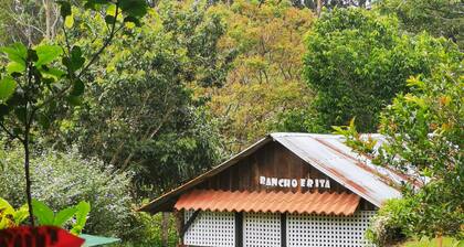 Complete Cabin and Mountain Farm