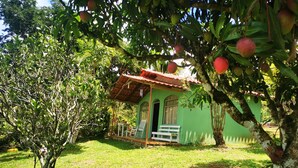 A small, green house with a porch and a bench, surrounded by trees and grass. - Complete Cabin and Mountain Farm (San Ramon)