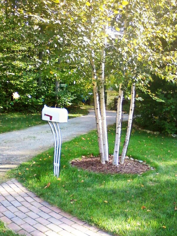 Une boîte aux lettres avec un poteau rayé, un arbre à trois troncs et un chemin pavé.