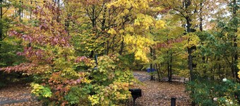 Harbor Springs Cottage In The Woods