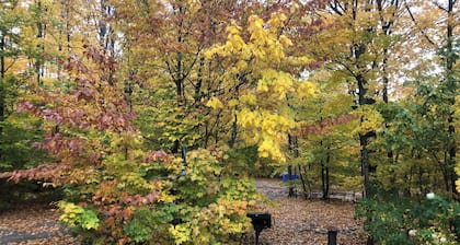 Harbor Springs Cottage In The Woods