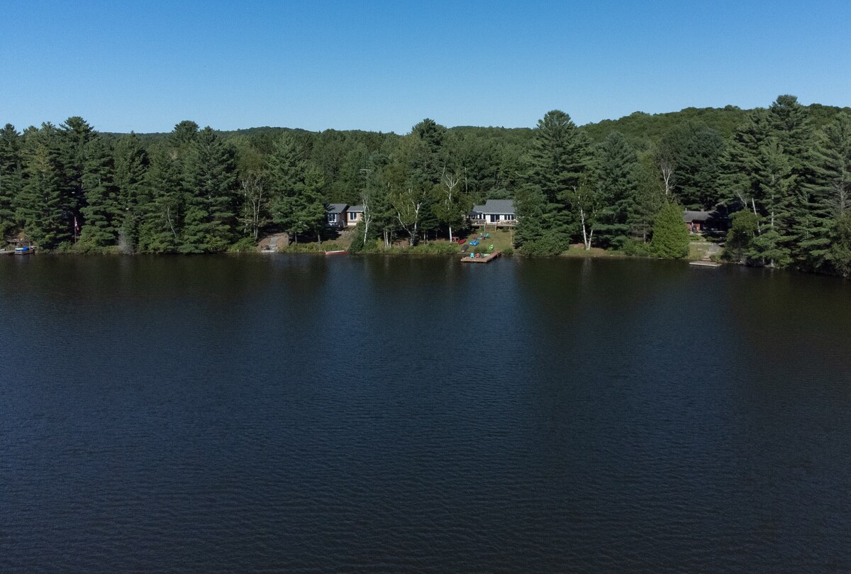 Imagen de perfil del propietario o de la propietaria