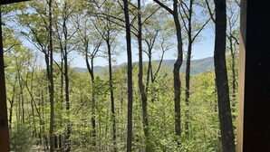 Vista dalla finestra su una foresta con alberi alti e montagne lontane.