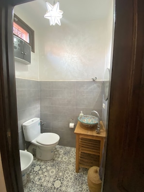 Shower, hair dryer, bidet, towels