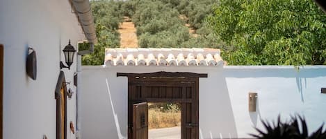 Exterior detail