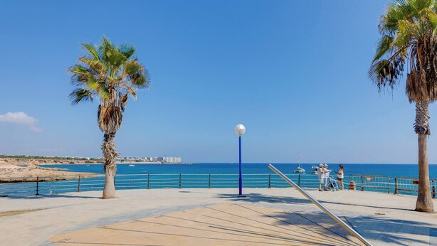 Une promenade en bord de mer bordée de palmiers, avec un lampadaire, et une vue sur la mer et les bâtiments qui se dressent au loin.