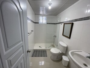 Shower, hair dryer, soap - Romántico Apartamento de 2 Habitaciones y 2 Baños (Santiago De Los Caballeros)