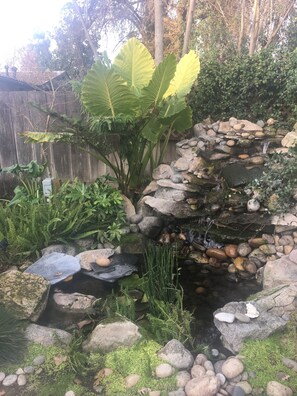 Área de parrilladas y picnic