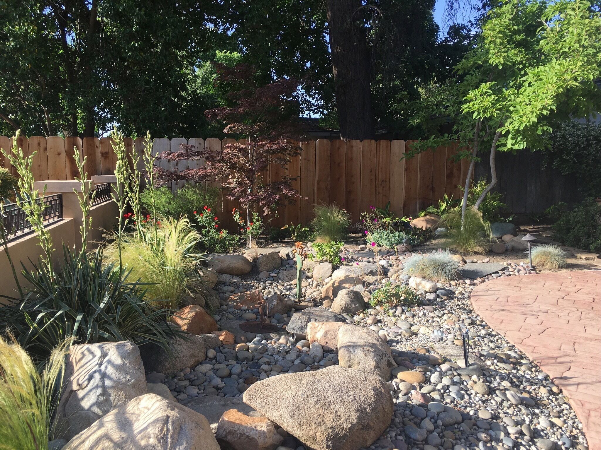 A landscaped garden with a variety of plants, rocks, and a wooden fence.