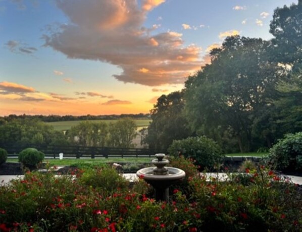 Property grounds - Quaint Cape Cod attached home nestled atop a hill near Speedwell Forge Lake (Lititz)