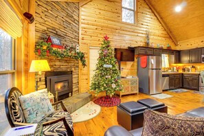 Flatskjerm-TV, peis, DVD-spiller og bøker