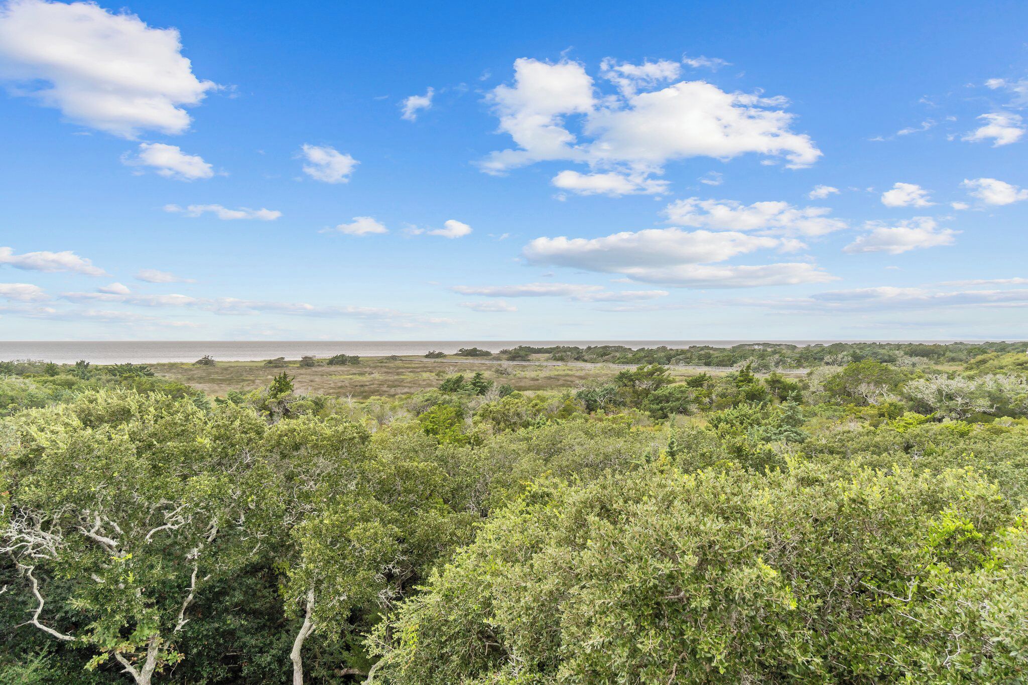 A natural landscape with dense vegetation and a clear sky.