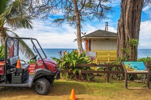 Property grounds - Ground floor, oceanview, updated coastal style gem (Kihei)