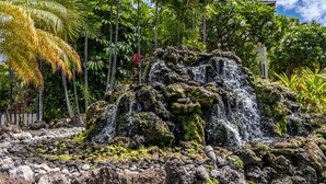 Una cascada que se precipita sobre rocas cubiertas de musgo, rodeada de exuberante vegetación tropical.