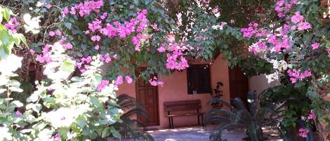 A courtyard with a stone bench, potted plants, and a building with a wooden door and window.
