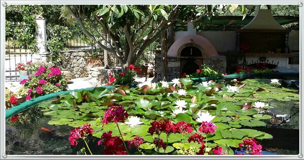 Cottage | Property grounds
