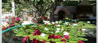 Excusive 1 Bedroom Cottage in Paleochora