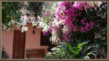 Cottage | Exterior